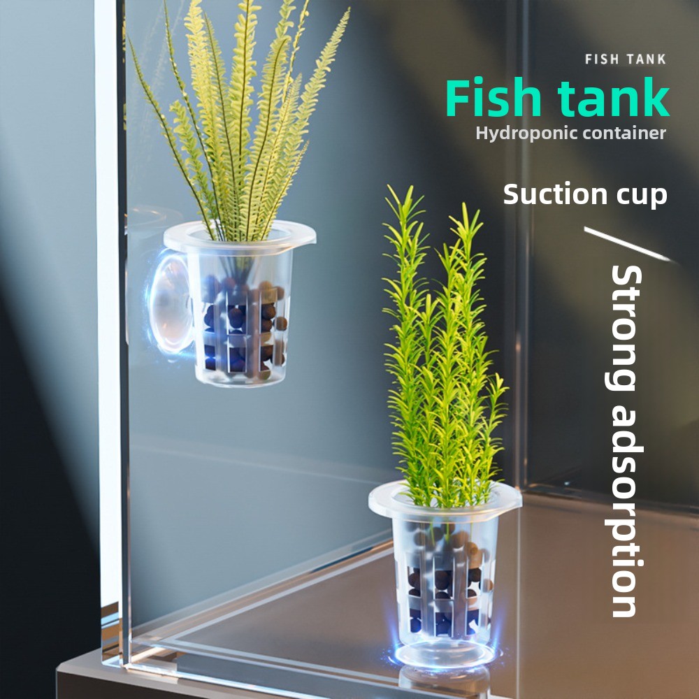 Hydroponic Grow Pod - 10 Macetas Transparentes para Plantas Hidropónicas,
