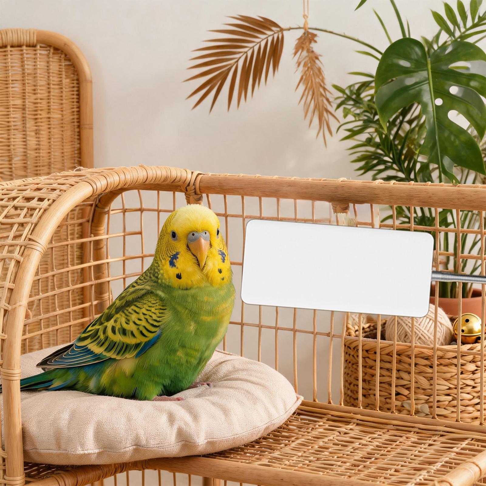 Smart Garden Bird Bath - Calentador para Mascotas 5V, Equipo de