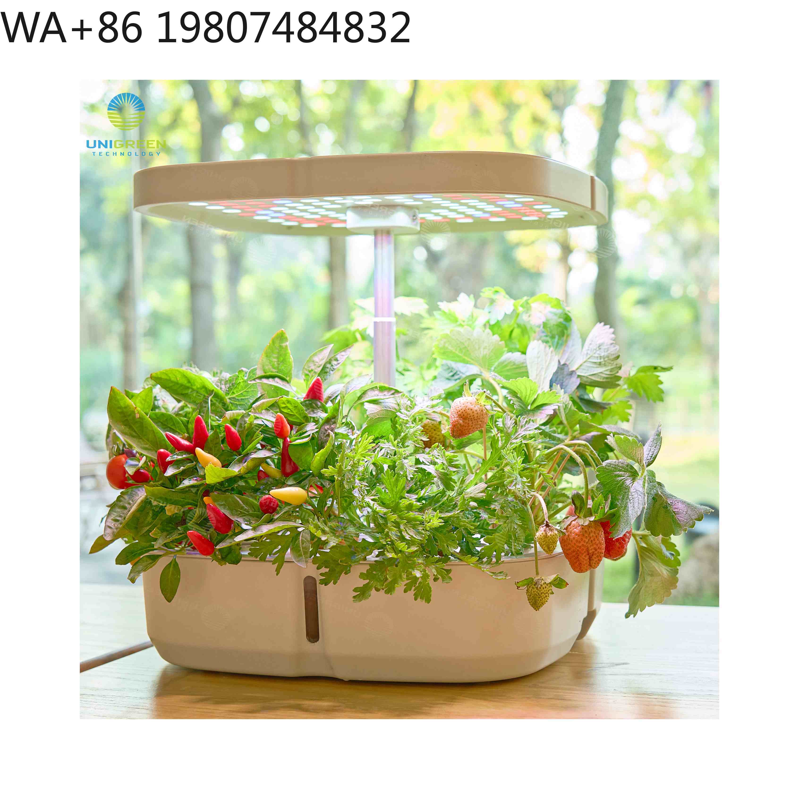 Hydroponic Grow Pod - Mini invernadero hidropónico de 8 compartimentos