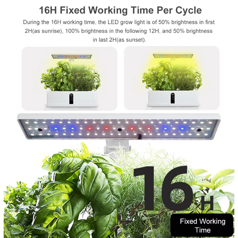 Sistema de Cultivo Hidropónico - Hydroponic Grow Pod reseña y precio