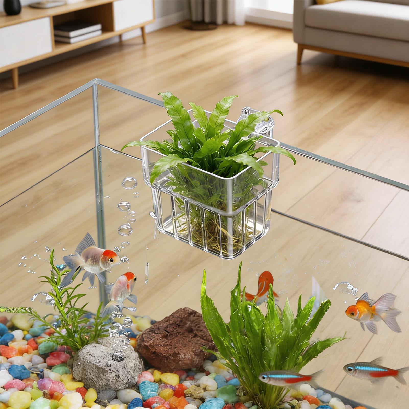 Maceta Transparente Colgante p - Hydroponic Grow Pod reseña y precio
