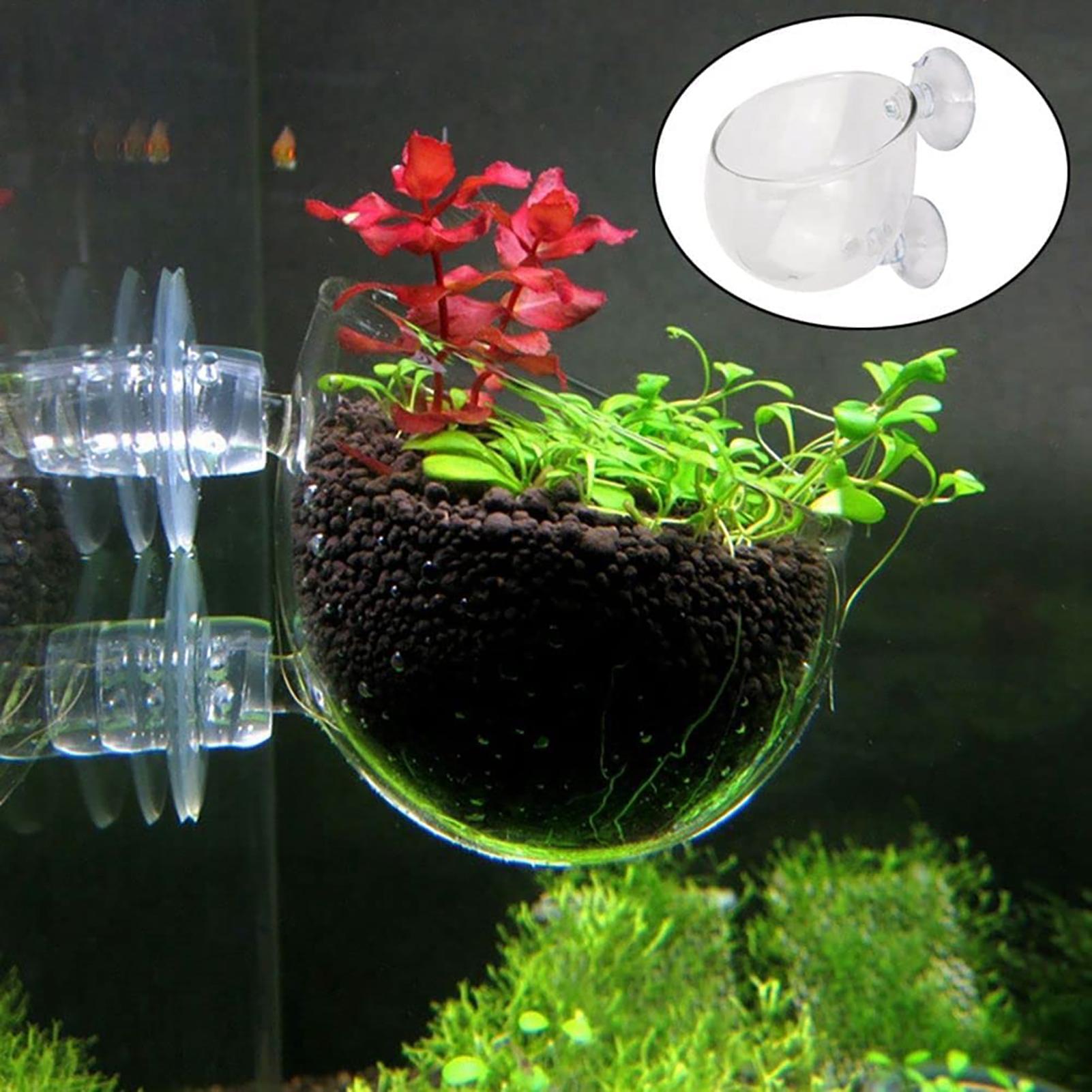Maceta para plantas acuáticas, - Hydroponic Grow Pod reseña y precio