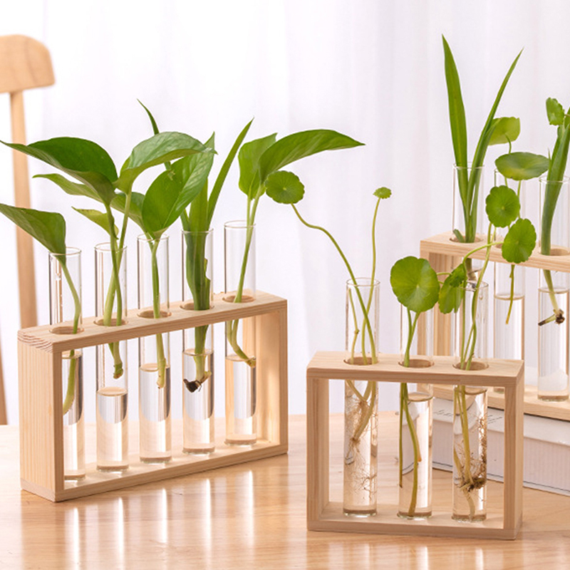 Contenedor de plantas hidropón - Hydroponic Grow Pod reseña y precio