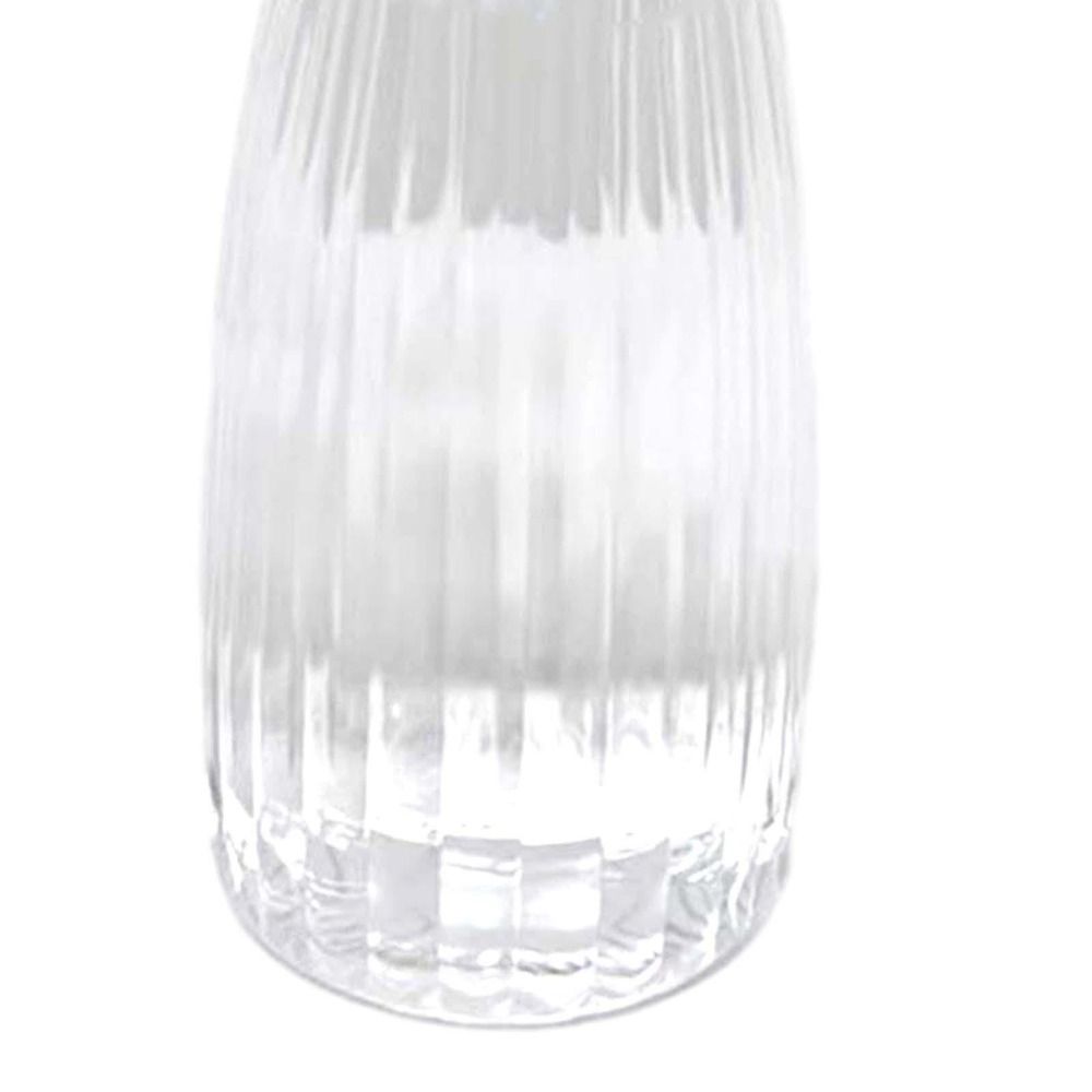 Nuevo Florero Transparente de  - Hydroponic Grow Pod reseña y precio