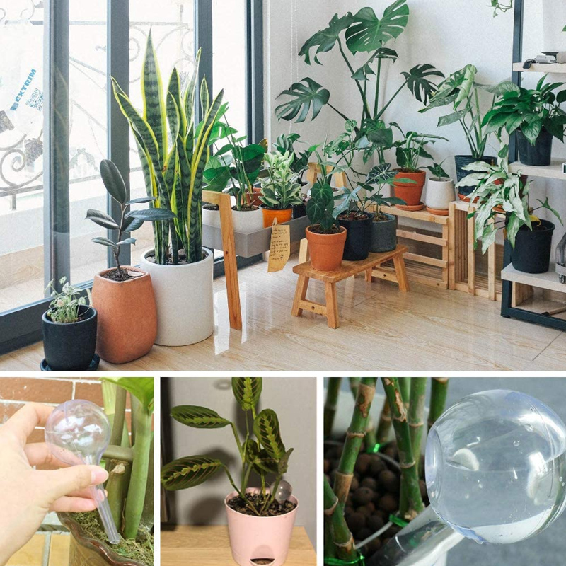Bombillas de riego automático  - Smart Garden Project reseña y precio